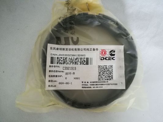 China Projeto preciso dos segmento do pistão 3922686 do motor diesel de resistência de desgaste antiusura fornecedor